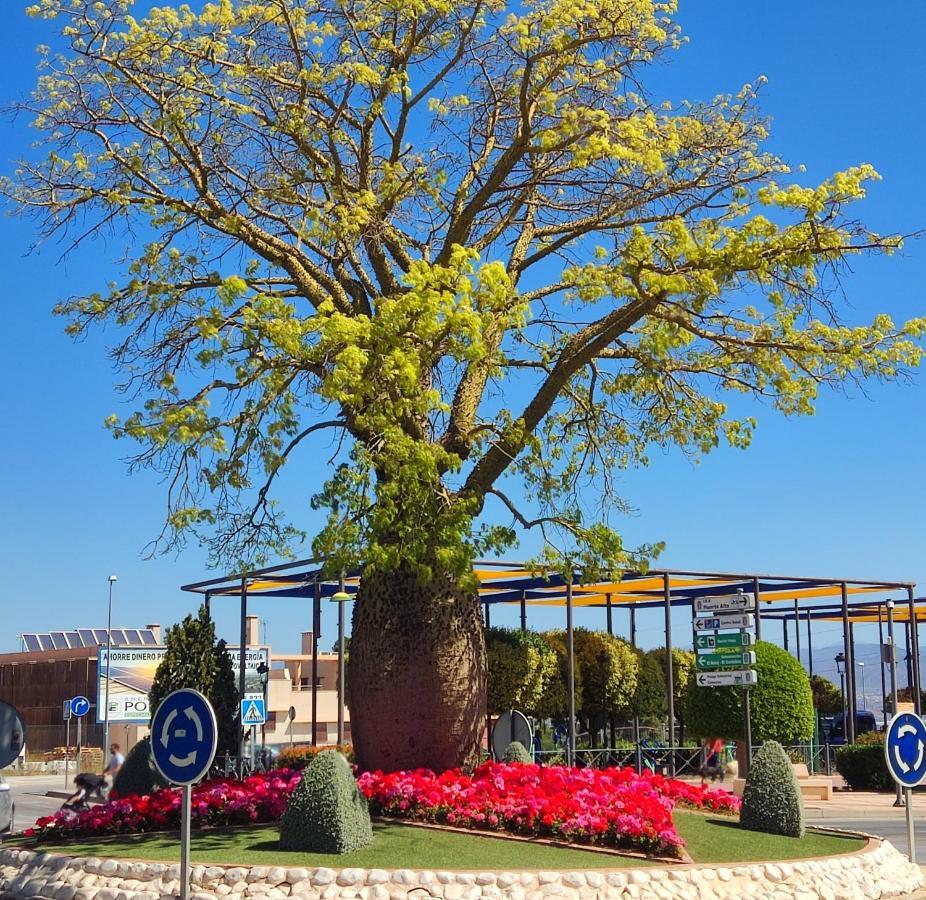 דירות Alhaurín de la Torre 80S Loft Vintage 15' Malaga Airport Free Guest Parking מראה חיצוני תמונה